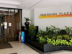 Sunshine Plaza (D7), Apartment #605706431